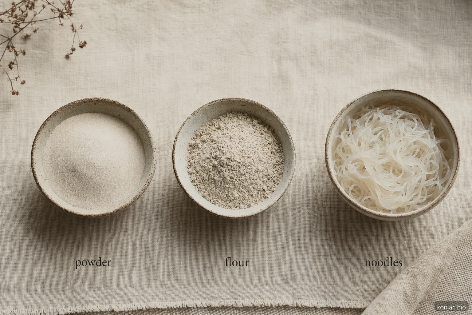 poudre de glucomannan comparée à la farine de konjac et aux nouilles shirataki, montrant des formes distinctes d’ingrédients de konjac