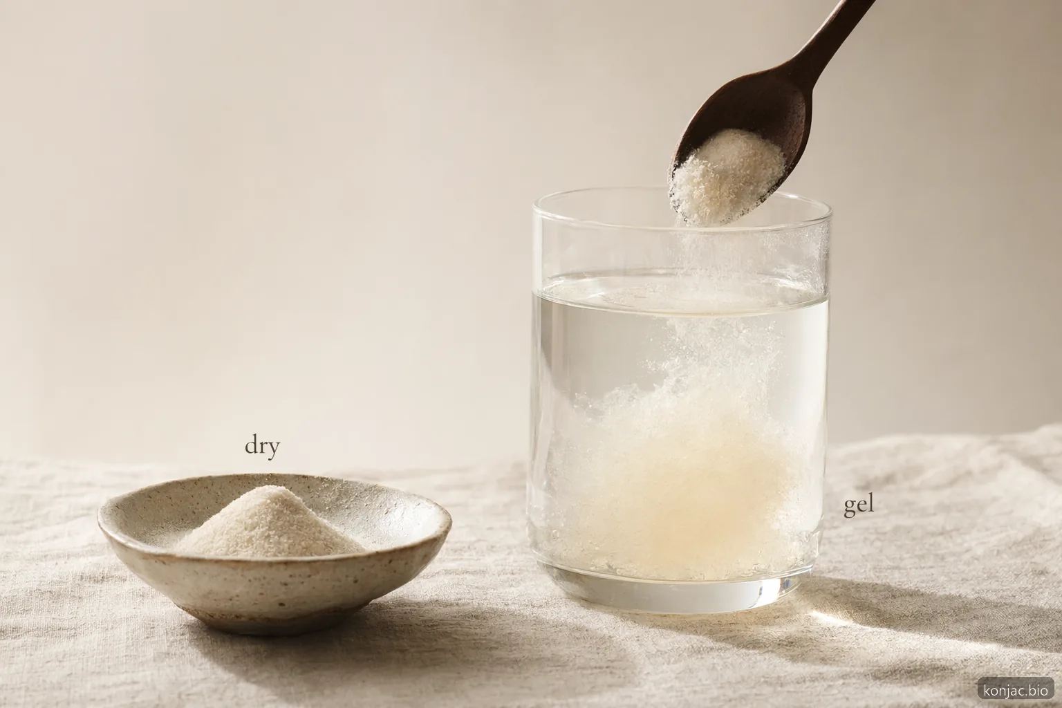 ما هو glucomannan؛ يوضح انتفاخ مسحوقه في الماء كيف ترتبط ألياف konjac بالسائل وتكوّن هلامًا كثيفًا