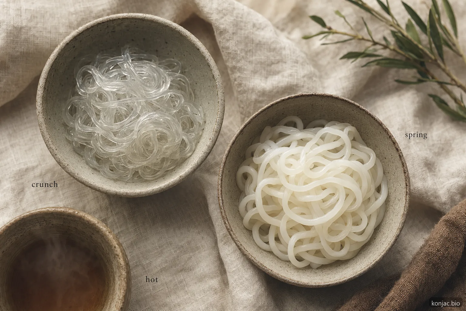 i noodles di kelp e i noodles di konjac differiscono nell’uso: il kelp resta croccante per le insalate, il konjac è adatto ai piatti caldi low-carb