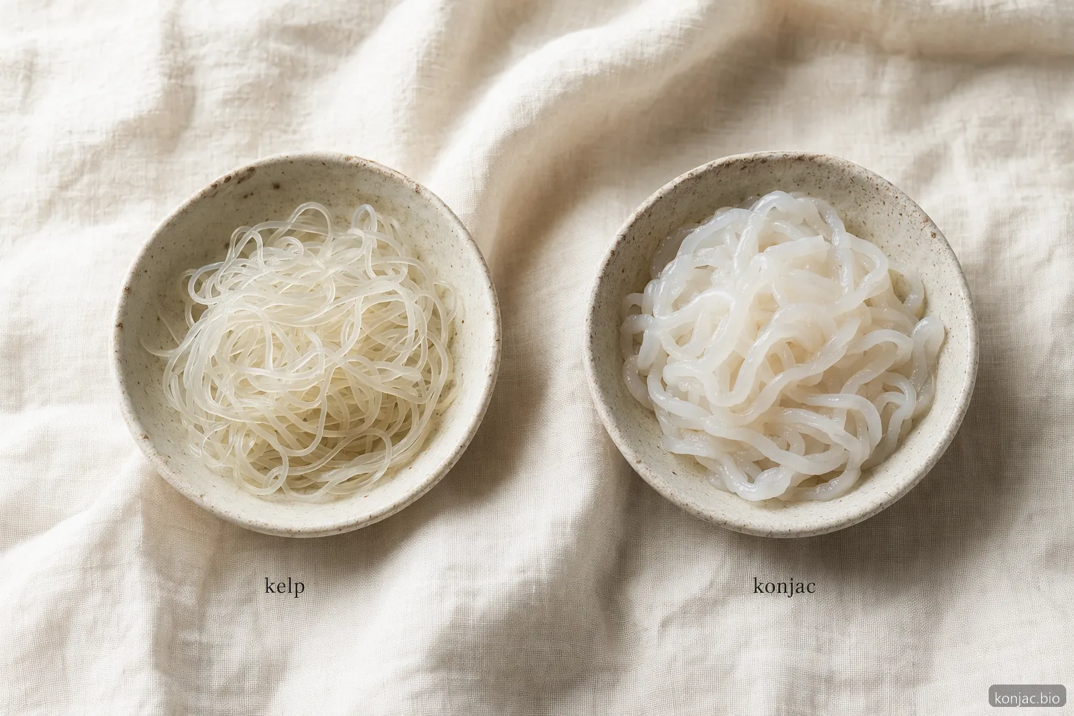 confronto della consistenza tra noodles di kelp vs noodles shirataki: il kelp è croccante mentre i noodles konjac sono morbidi e scivolosi