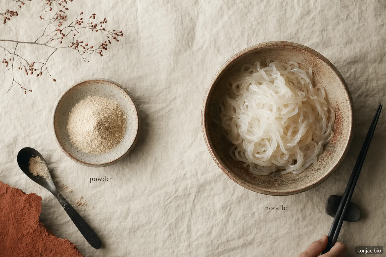 controllo d’uso konjac vs shirataki che mostra polvere per formulazione e noodle per pasti pronti da mangiare