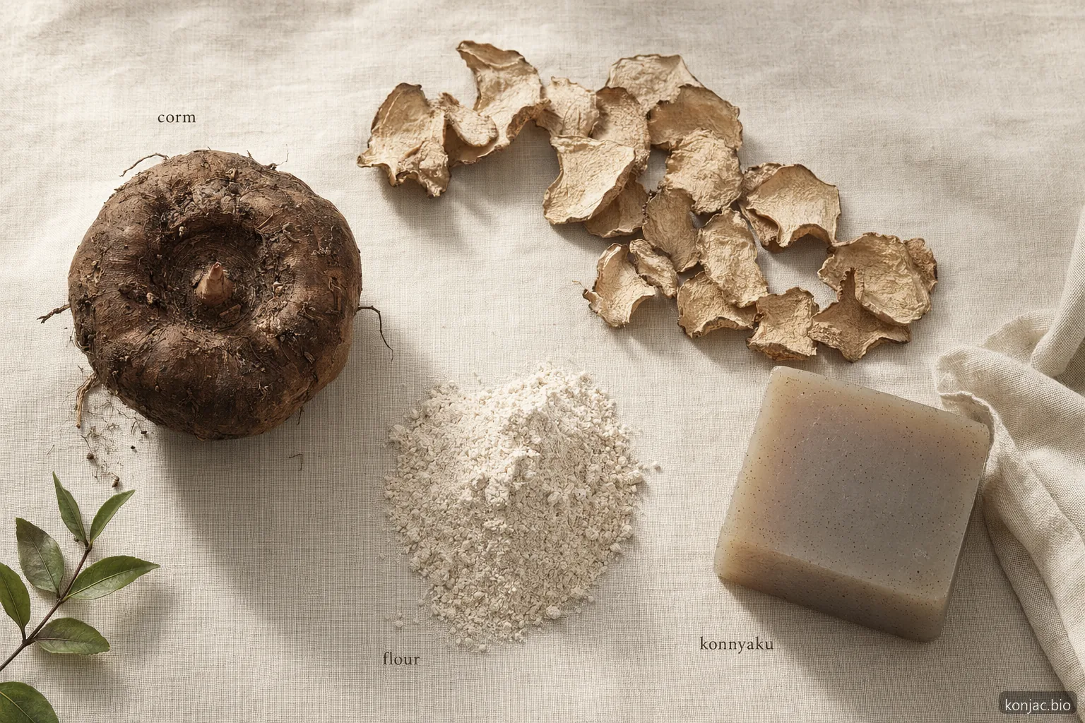 la lavorazione giapponese del konjac trasforma il cormo fresco in chips essiccate, farina e alimenti gelificati come konnyaku e shirataki