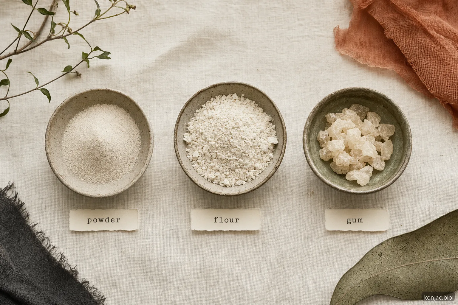 polvere di konjac, farina di konjac e gomma di konjac si differenziano per grado di raffinazione, texture e impiego in etichettatura per i marchi alimentari