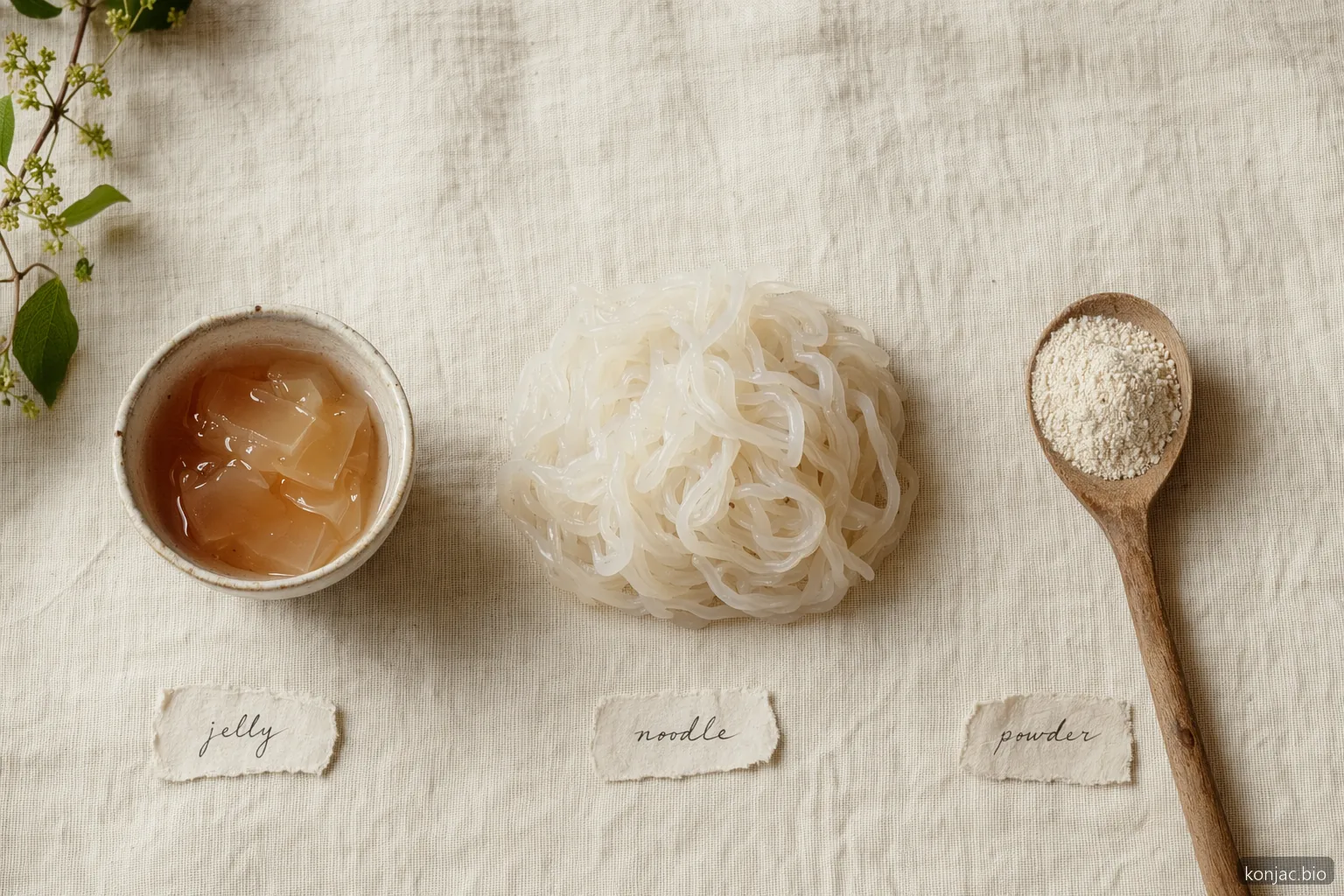 tastelli konjac jelly si differenzia da noodles e polvere perché è un formato di snack dolce pronto al consumo