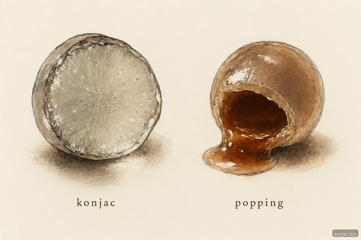 Gli snack konjac usano boba in gel compatto, mentre il popping boba ha un centro liquido, quindi la sensazione al morso e la logica degli ingredienti sono diverse.