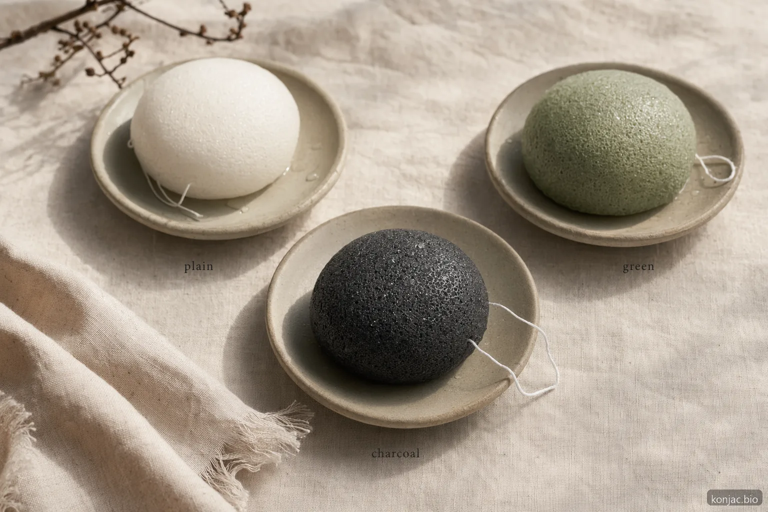 confronto tra spugne konjac nere che mostra come le varianti al carbone, semplice e verde differiscano per infusione e sensazione sulla pelle