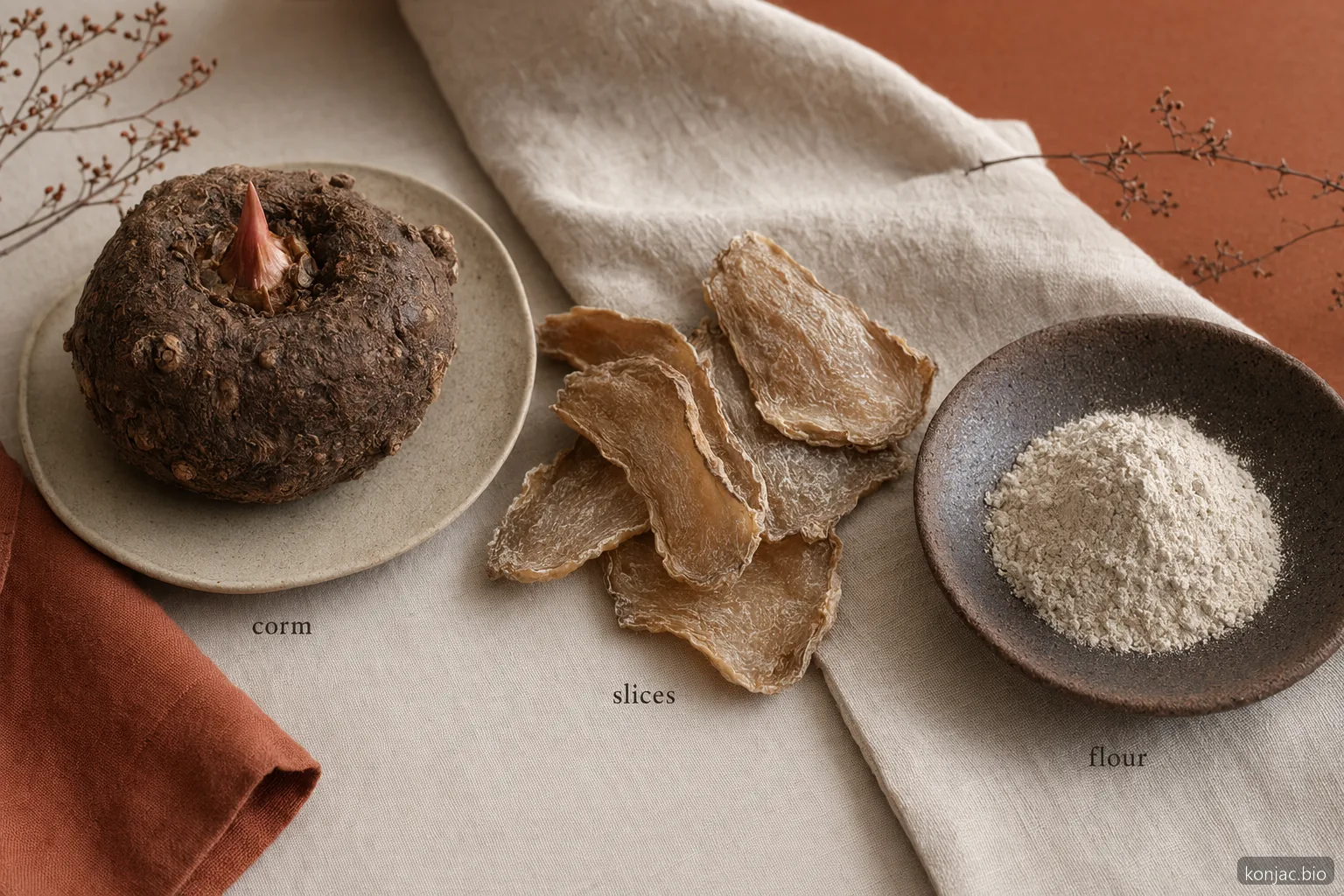 Che cos’è una natura morta dal cormo alla farina di konjac, con cormo fresco, fette essiccate e polvere come unico percorso di ingrediente.