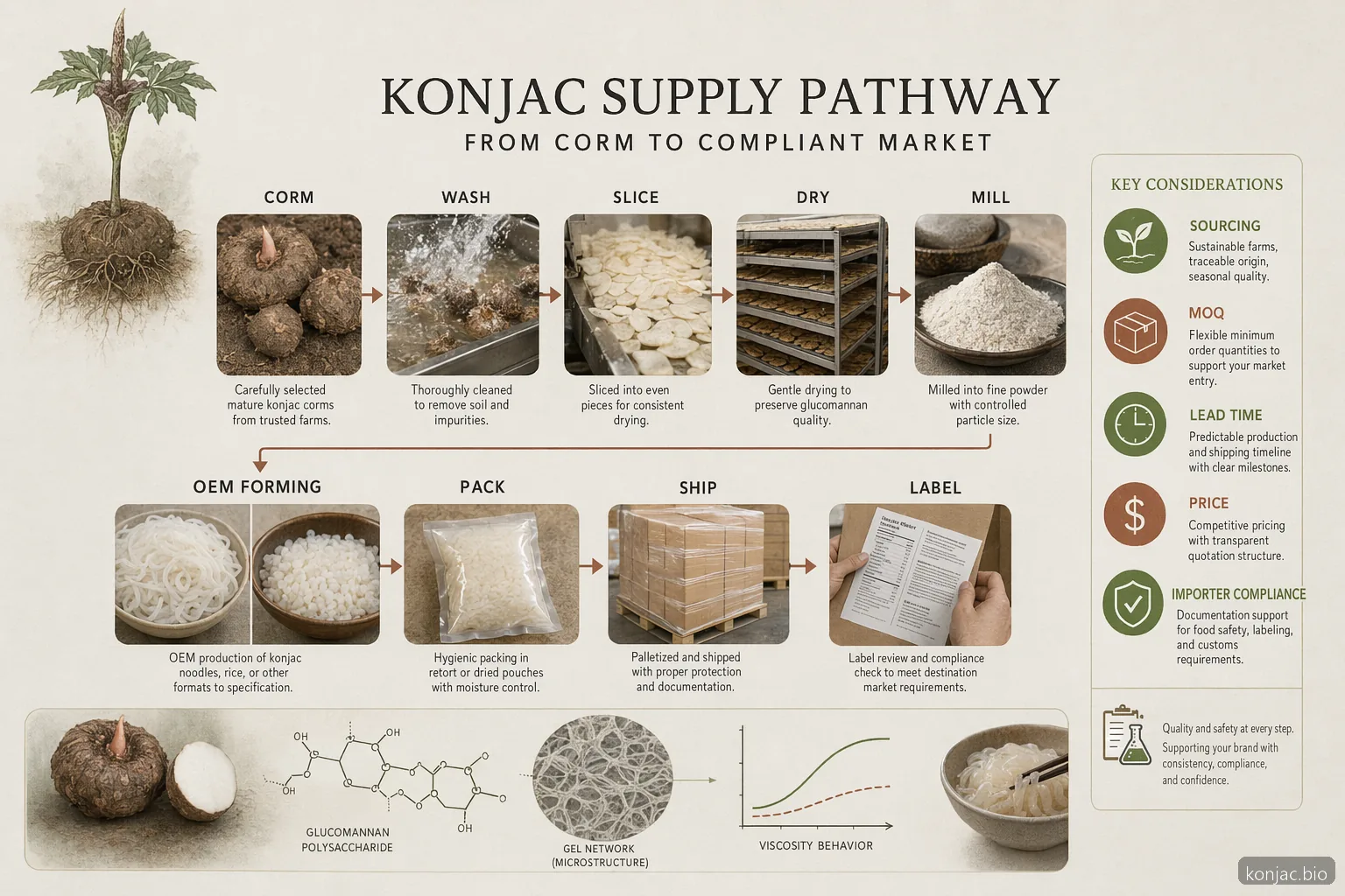 konjac wholesale process flow traces corms to flour, OEM foods, packed pallets, shipping, and label checks.