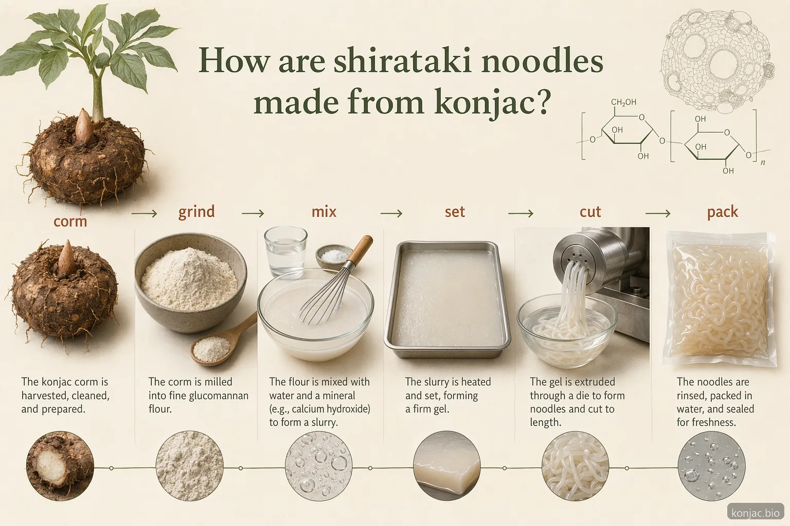 shirataki noodles process flow shows konjac corm milled into glucomannan gel, set, cut, and packed
