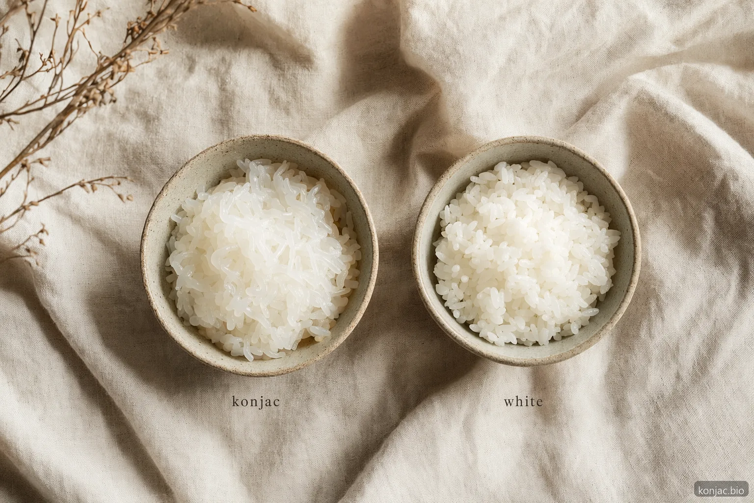Shirataki-Reis im Vergleich mit weißem Reis; konjac-Reis wird als leichtere kohlenhydratarme Bowl-Option gezeigt.